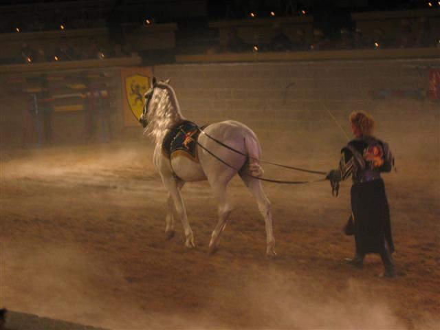 Medieval Times - Shannons 23rd Bday 31.JPG
